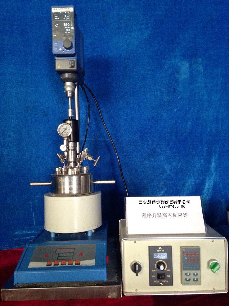 CGFL100微型高压反应釜（实验型）