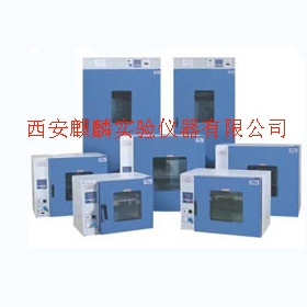DHG-9053A电热鼓风干燥箱（上海一恒）