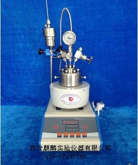CGFL-50微型高压反应釜